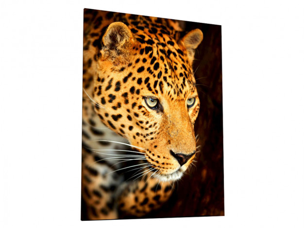 Картина Картина на стекле 30х40 "Внимательный леопард", арт. WB-02-75-02