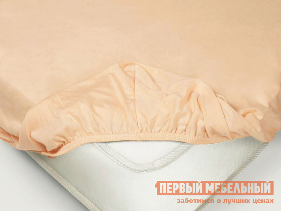 Простыня Простыня на резинке «Поплин» персиковый Персиковый, поплин, Оранжевый, Простыня на резинке «Поплин» персиковый Персиковый, поплин, 1600 Х 2000 Х 200 мм
Простыня Простыня на резинке «Поплин» персиковый Персиковый, поплин, Оранжевый, Простыня на резинке «Поплин» персиковый Персиковый, поплин, 1600 Х 2000 Х 200 мм