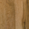 Дуб Крафт золотой image