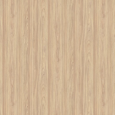 Вяз Швейцарский светлый