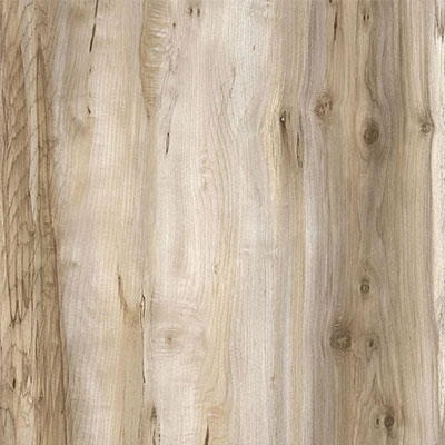 Клен Каньон крупнолистный