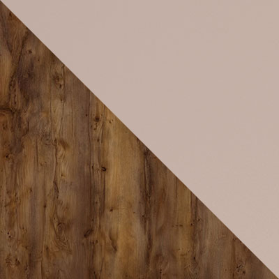 Таксония шоколадная / Кофе с молоком