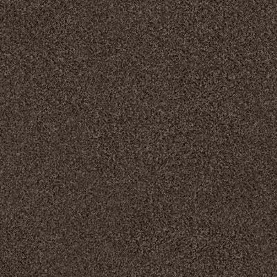 Шоколад, велюр