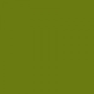 Цвет Зеленый Лоза