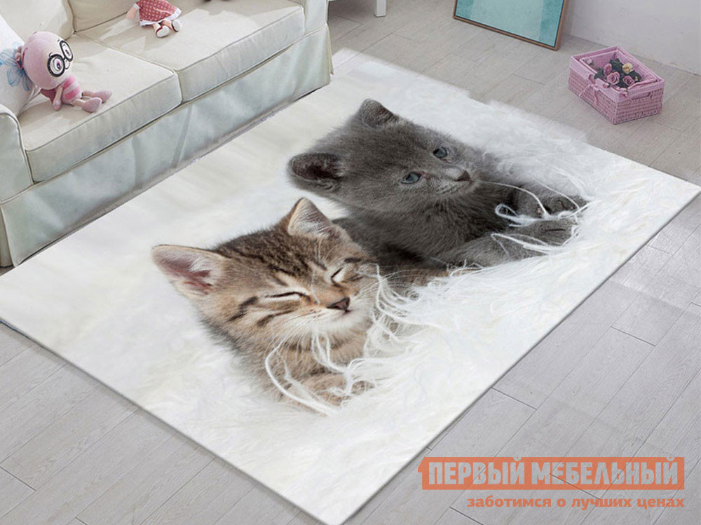 

Детский ковер Два котенка Два котенка, Мультицвет, Два котенка Два котенка