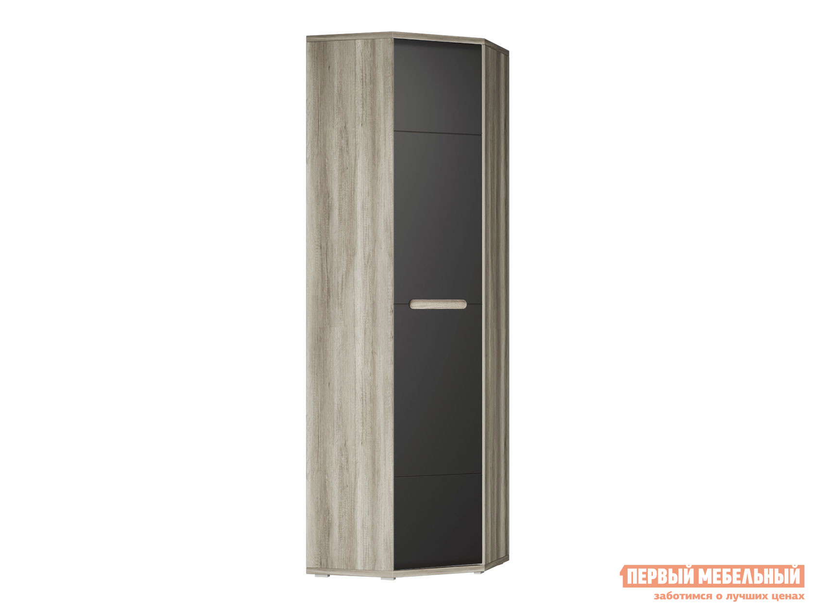 Распашной шкаф  Наоми Лайт Дуб Каньон / Графит нубук