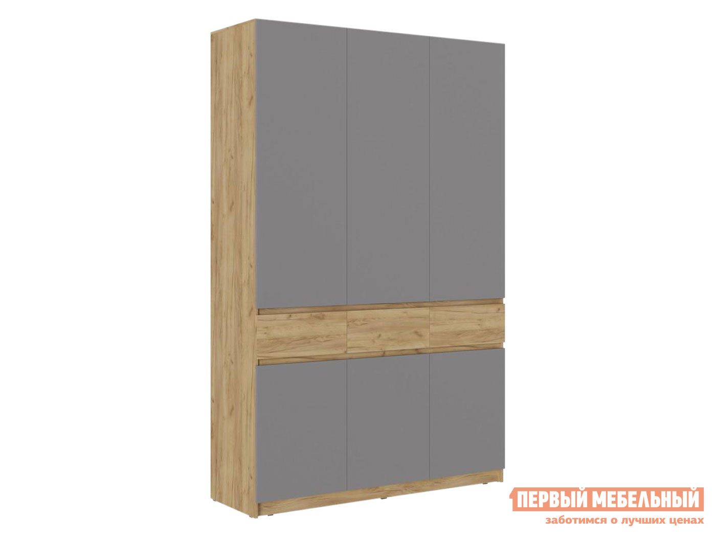 Распашной шкаф  Бостон Дуб Крафт золотой / Серый шифер