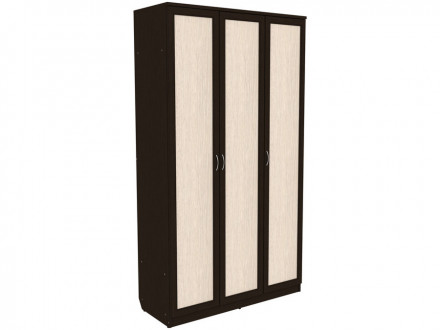 Распашной шкаф 179-70256