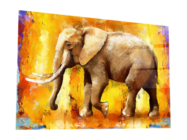 Картина Картина на стекле 40х60  "Африканский слон". Артикул WBR-01-1078-04