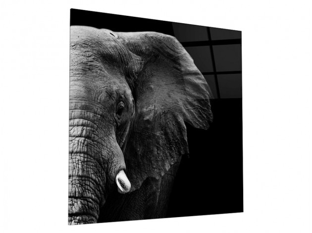 Картина Картина на стекле 40х40 "Слон", арт. WB-02-61-03