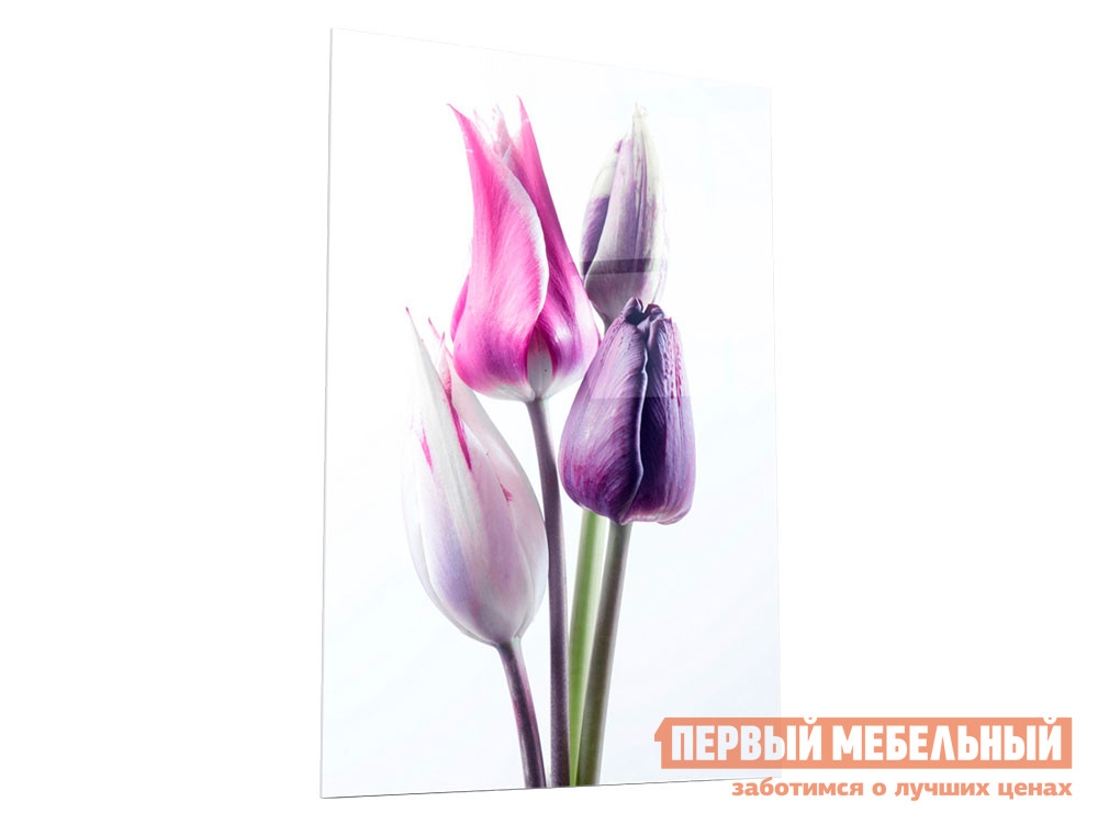 

Картина Цветочная фантазия Стекло, Прозрачный, Цветочная фантазия Стекло