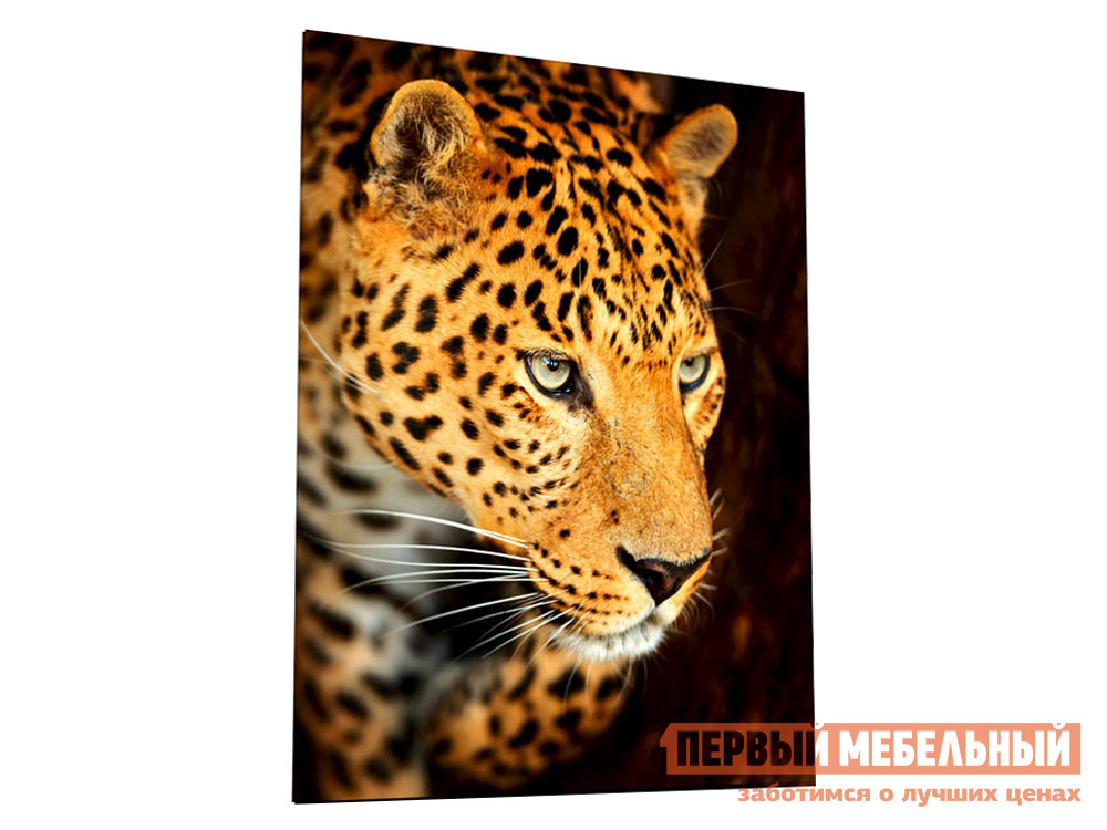 Картина  Внимательный леопард Стекло от Первый Мебельный