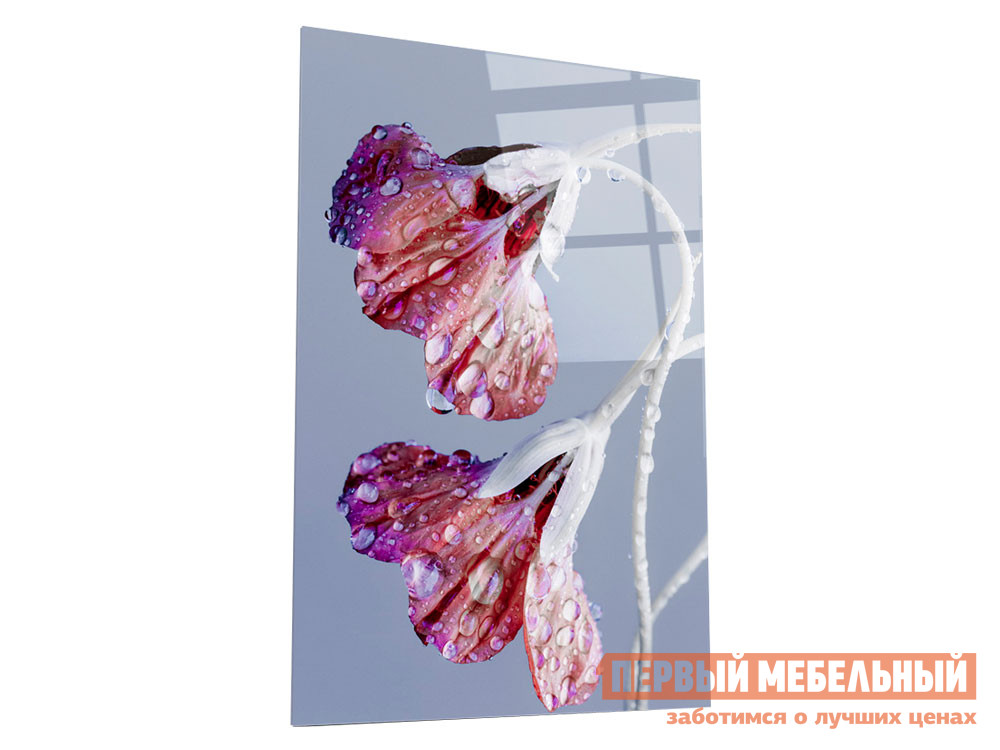 

Картина Цветочная фантазия Стекло, Прозрачный, Цветочная фантазия Стекло