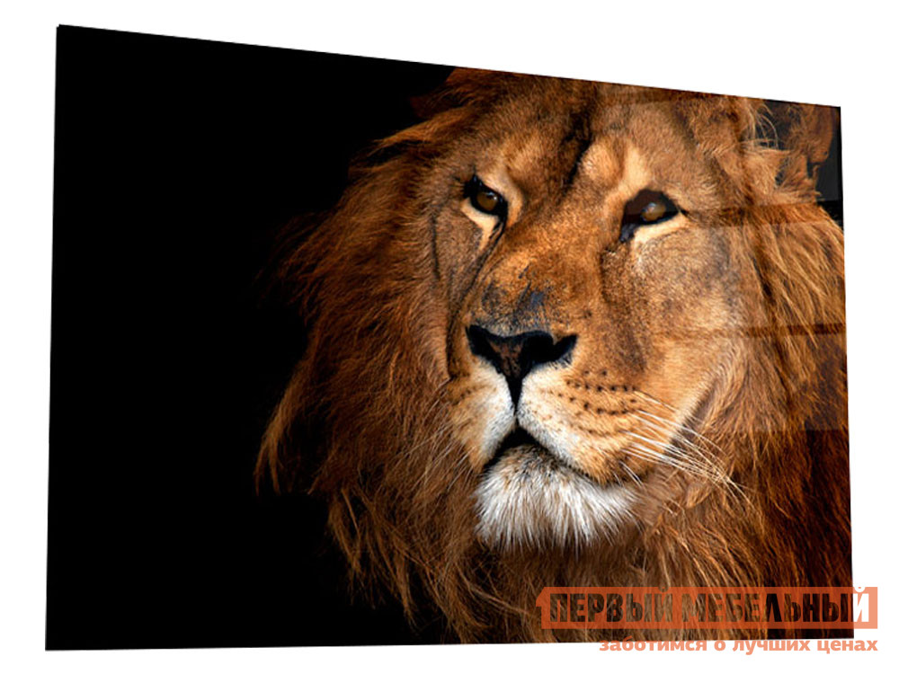 Картина  Благородный лев Стекло от Первый Мебельный