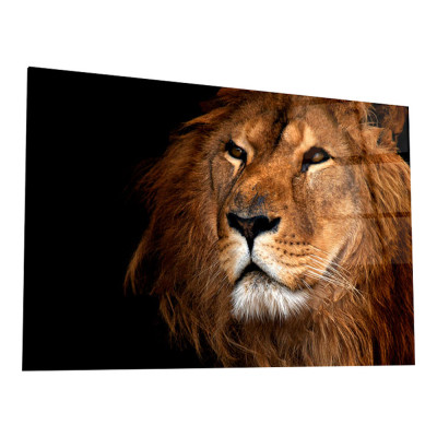 Картина  Благородный лев Стекло