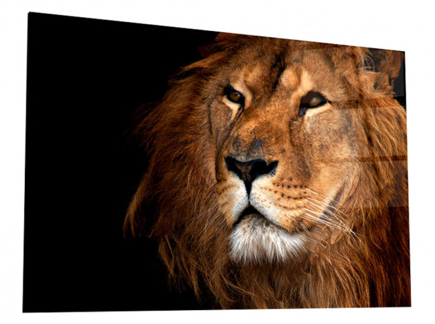 Картина Картина на стекле 40х60 "Благородный лев", арт. WB-02-76-04