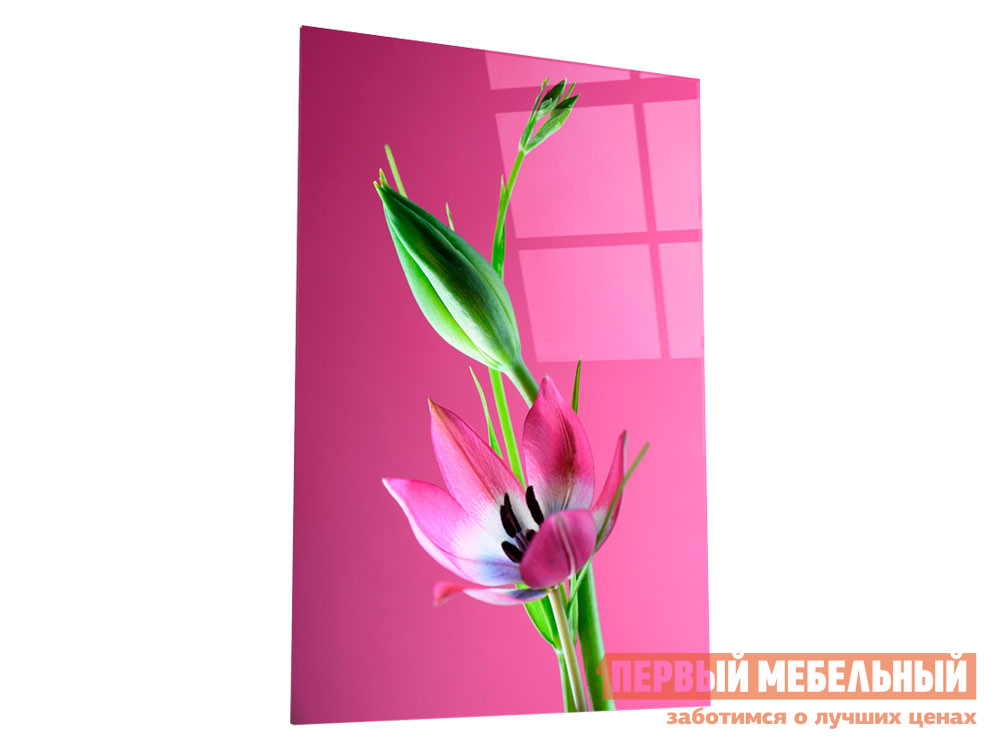 

Картина Цветочная фантазия Стекло, Прозрачный, Цветочная фантазия Стекло