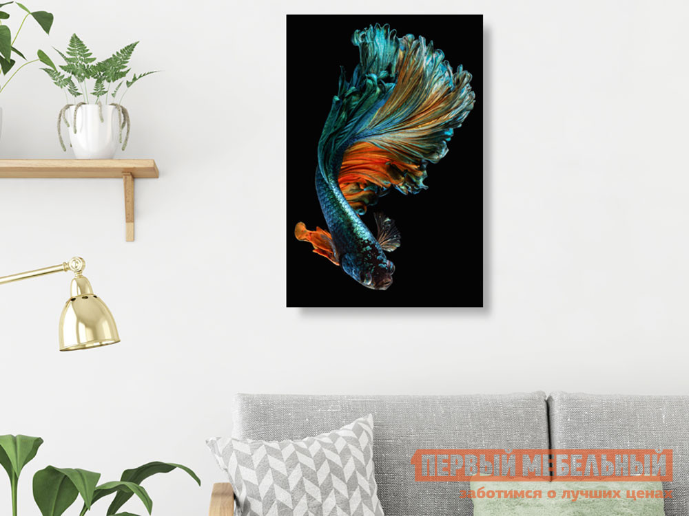 Картина  Бойцовая рыбка Стекло от Первый Мебельный