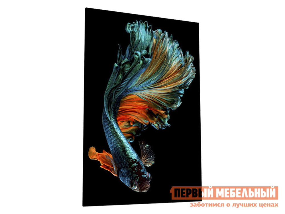 Картина  Бойцовая рыбка Стекло от Первый Мебельный