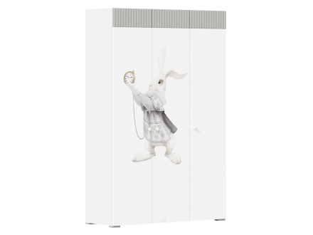 Детский шкаф 110-204144