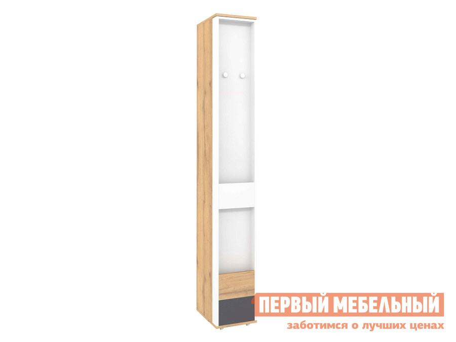 

Детский шкаф Лойс Дуб золотистый / Белый / Графит, Лойс Дуб золотистый / Белый / Графит