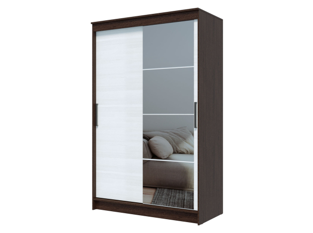 Шкаф-купе Элегант 4