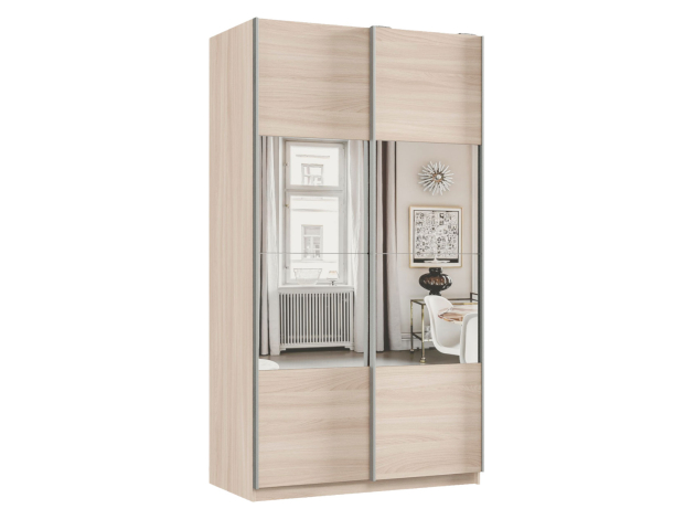Шкаф-купе Смарт Зеркальная секция