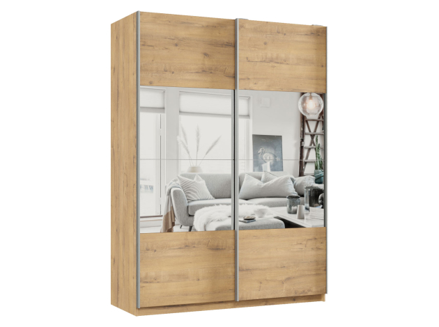 Шкаф-купе Смарт Зеркальная секция