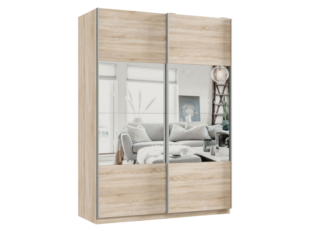 Шкаф-купе Смарт Зеркальная секция