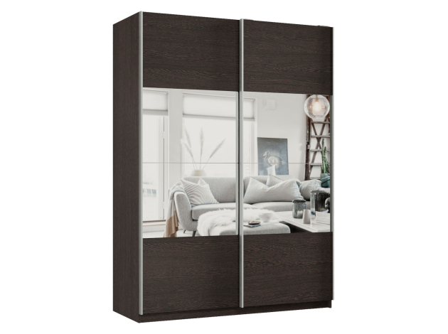 Шкаф-купе Смарт Зеркальная секция