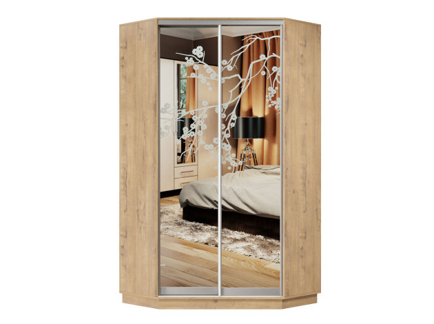 Шкаф-купе Маршал