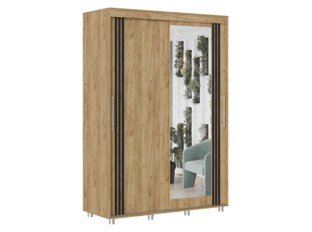 Шкаф-купе Форест