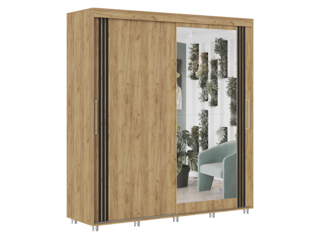 Шкаф-купе Форест