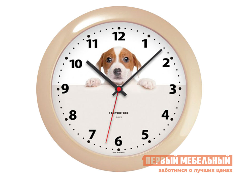 

Часы Паппи Кремовый, пластик, Бежевый, Паппи Кремовый, пластик