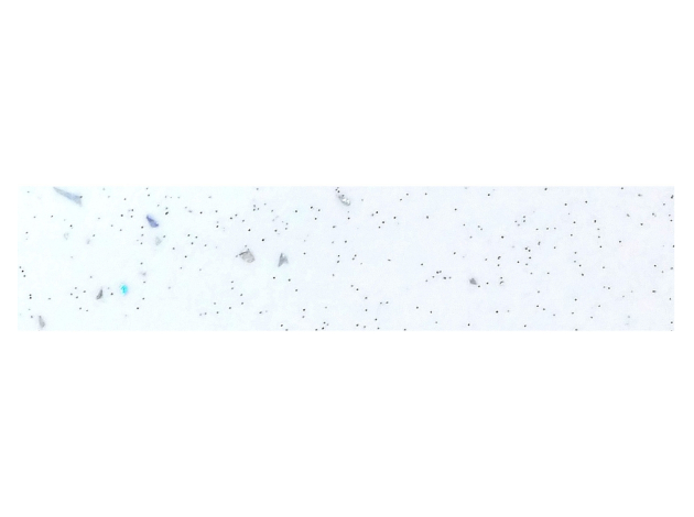 Стеновая панель 3 м