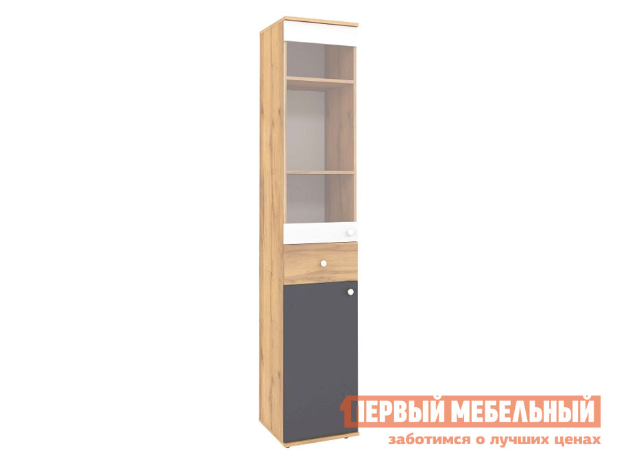 

Детский шкаф Лойс Дуб золотистый / Белый / Графит, Лойс Дуб золотистый / Белый / Графит