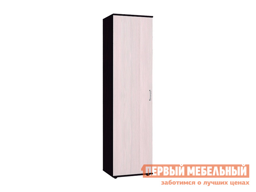 

Распашной шкаф Виспа Венге / Бодега светлый, Темное-светлое дерево, Виспа Венге / Бодега светлый