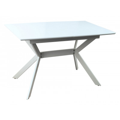 Кухонный стол  Стол обеденный Орландо DT-895N Белый матовый / Cветлое дерево