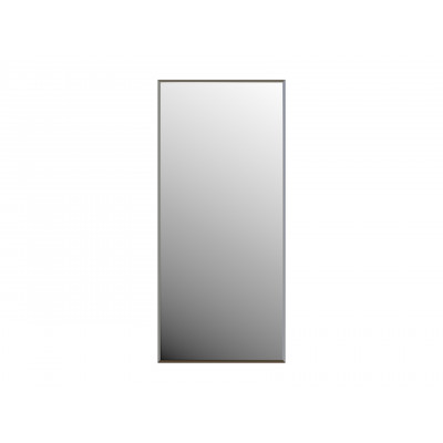Настенное зеркало  Зеркало настенное Сельетта-2 (1000х500х4 фацет 10 мм) Зеркало