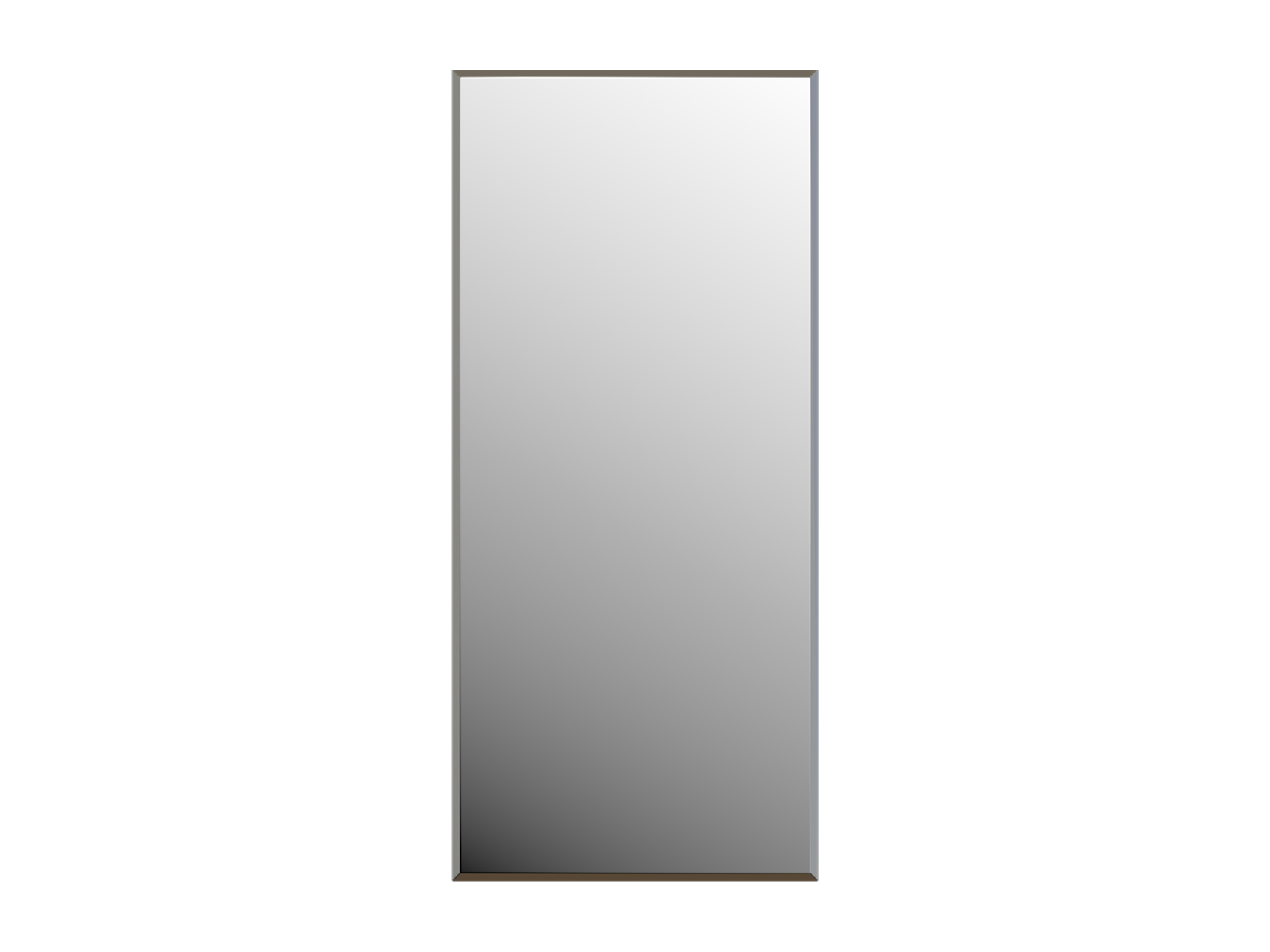 Настенное зеркало Зеркало настенное Сельетта-2 (1000х500х4 фацет 10 мм) Сельетта 2 фото 1