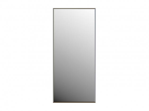 Настенное зеркало Зеркало настенное Сельетта-2 (1000х500х4 фацет 10 мм)