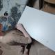 review preview photo № 6