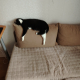 review preview photo № 3