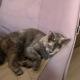 review photo № 8