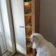 review photo № 9