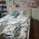 review photo № 2
