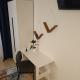 review preview photo № 0