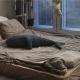 review photo № 4