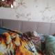 Корсо ПМ отзывы фото 60716