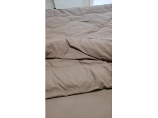 Бамбук всесезонное отзывы видео 4189